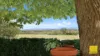 74A Mckanes Road, Agnes VIC 3962-Image