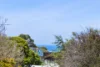 75-77 Great Ocean Road, Jan Juc, Vic 3228-Image