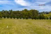 75 Allegra Drive, Heybridge, Tas 7316-Image