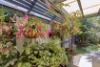 75 Beerburrum street, Aroona, Qld 4551-Image