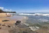 75 Beerburrum street, Aroona, Qld 4551-Image
