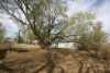 75 Burnett Street, Mundubbera, Qld 4626-Image
