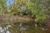 75 Bushbys Road, Barongarook, Vic 3249-Image