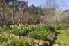 75 Butlers Lane, Glenlyon, Vic 3461-Image
