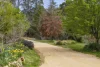 75 Butlers Lane, Glenlyon, Vic 3461-Image