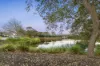 75 Candella Square, Stirling, WA 6021-Image