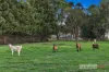 75 Captain Pearson Drive, Mickleham, Vic 3064-Image