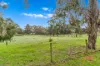 75 Carr-Boyd Road, Cranbourne South, Vic 3977-Image