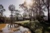 75 Corin Street, West Launceston, Tas 7250