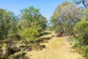 75 Dwyers Ridge Road, Moruya, NSW 2537-Image
