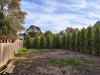 75 Earl Street, Kew, Vic 3101-Image