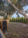 75 Earl Street, Kew, Vic 3101-Image