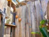75 East Street, Macksville, NSW 2447-Image
