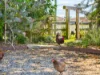 75 East Street, Macksville, NSW 2447-Image
