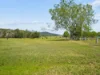 75 East Street, Macksville, NSW 2447-Image