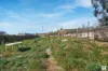 75 Gaffney Street, Broken Hill, NSW 2880-Image