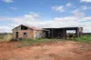 75 Germein Road, Barmera SA 5345-Image