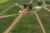75 Germein Road, Barmera SA 5345-Image