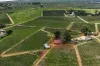 75 Germein Road, Barmera SA 5345-Image
