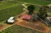 75 Germein Road, Barmera SA 5345-Image