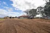 75 Germein Road, Barmera SA 5345-Image