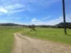 75 James Lane, Myocum, NSW 2481-Image