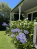 75 Madeira Road, Mudgee, NSW 2850-Image