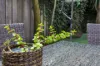 75 Nelson Street, Rozelle, NSW 2039-Image