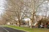 75 Park Drive, Parkville, Vic 3052-Image