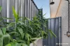 75 Saltwood Drive, Rosedale, NSW 2536-Image