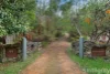 75 Silver Creek Road, Flowerdale, Vic 3717-Image