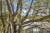 75 Stephenson Street, Coalfalls, Qld 4305-Image