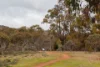75 Tay Street, Watson, ACT 2602-Image