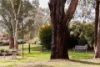 75 Tay Street, Watson, ACT 2602-Image