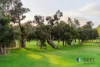 75 The Fairways, Gnangara, WA 6077-Image