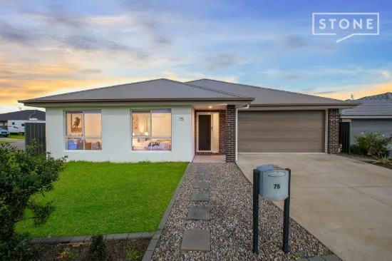 75 William Tester Drive, Cliftleigh, NSW 2321