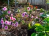 75 Willowbend Road, Kingston, Tas 7050-Image