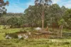 751 Woori Yallock Road, Nangana, Vic 3781-Image