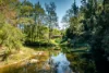 755 Kalang Road, Bellingen, NSW 2454-Image