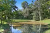 756 Trees Road, Tallebudgera Valley, Qld 4228-Image
