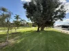 75B Thomas St, East Cannington, WA 6107-Image
