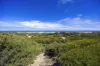 76-78 Constantine Avenue, St Andrews Beach, Vic 3941-Image