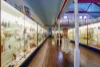 76 Albury Street, Holbrook, NSW 2644-Image