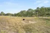 76 Derns Drive, Takura, Qld 4655-Image