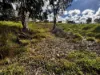 76 Flaxmill Road, Auburn, SA 5451-Image