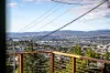 76 Granville Street, West Launceston, Tas 7250-Image