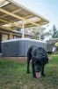 76 Heagney Crescent, Chisholm ACT 2905-Image