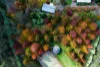 76 Mort Street, Katoomba, NSW 2780-Image