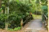 76 Outlook Drive, Tewantin, Qld 4565-Image