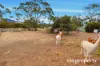 76 Prospect Road, Sandford, Tas 7020-Image